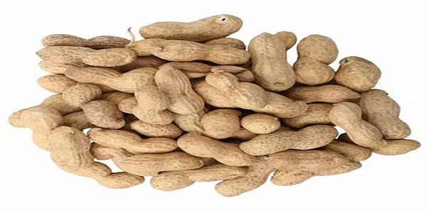 تصویر 2 از خرید و قیمت بادام زمینی غلاف دار خام + فروش صادراتی